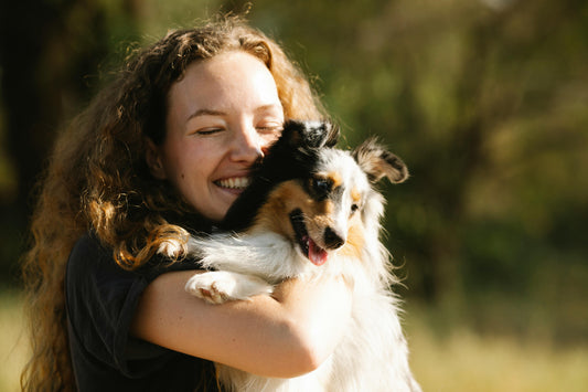 The Affectionate Bond Between Dogs and Owners: Nurturing Your Pet's Well-Being with Love and Attention